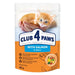 Club 4 Paws Premium Kitten Pouch Zalm In Saus