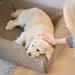 Bia Bed Premium Hoes Teddy Beige