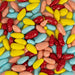 Back Zoo Nature Parrot Sunflower Seed Treats