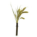 Back Zoo Nature Millet Setaria