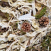 Back Zoo Nature Discovery Topping