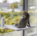 Trixie Hangmat Voor Aan Raam Opvouwbaar Pluche / Mesh Wit / Grijs
