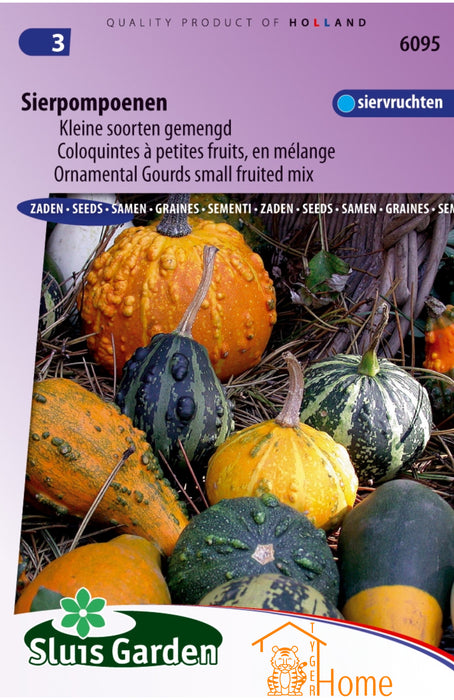 Sierpompoenen Cucurbita Kleine Vruchten Gemengd Zaden, Sierkalebassen voor Decoratie - Cucurbita Small Mixed Gourd Seeds, Ornamental Fruits