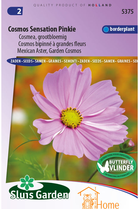 Cosmos Sensation Pinkie Cosmea Grootbloemig Bloemen Zaden voor de Tuin: Kweek Prachtige, Roze Cosmea Bloemen