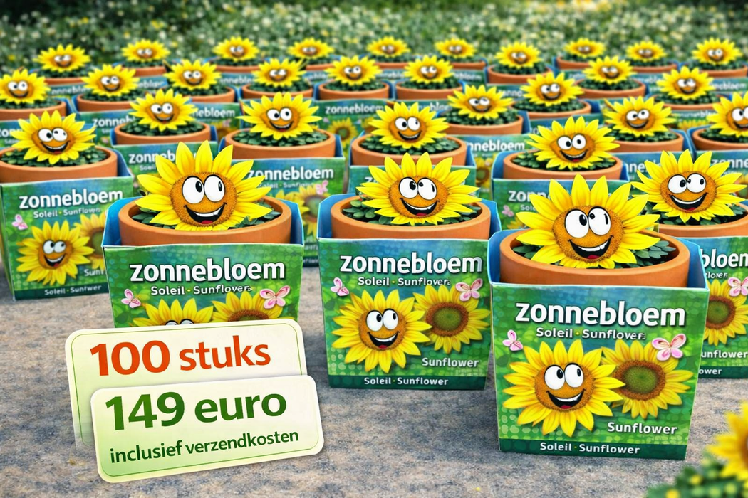 100 Sonnenblumen im Terrakottatopf | 149 € inklusive Versandkosten