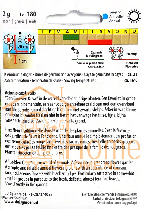 F2 Summer Pastels Mix – Zaden voor Prachtig, Veelkleurig Duizendblad
