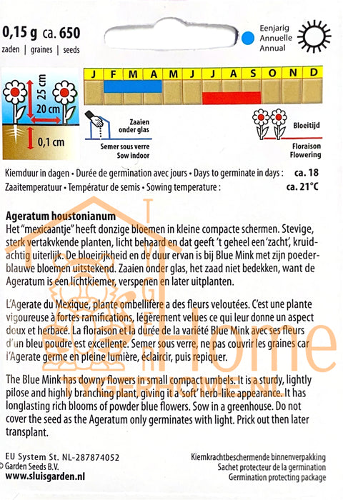 Dropplant Blue Spike – Zaden voor Heerlijke, Aromatische Anijsplanten