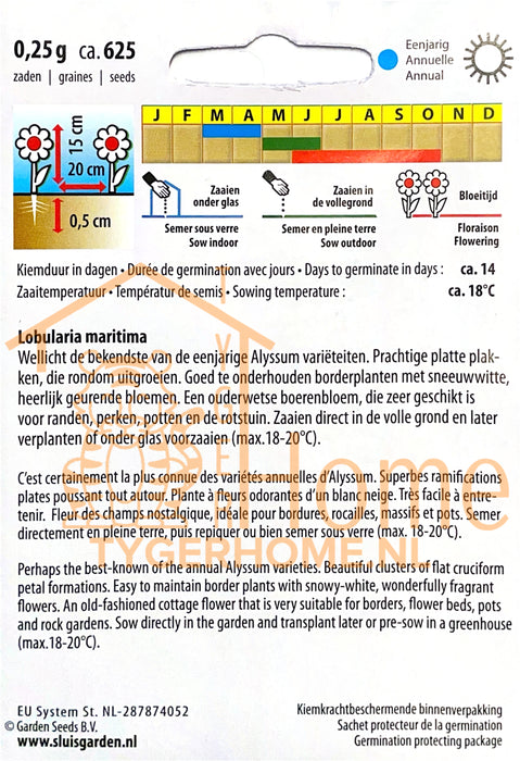 Snowcloth Wit Zeeschild Alyssum Zaden: Kweek Prachtige, Sneeuwwitte Alyssum Bloemen - Grow Beautiful, Snow-White Alyssum Flowers - Cultivez de Magnifiques Alyssum Blancs comme Neige