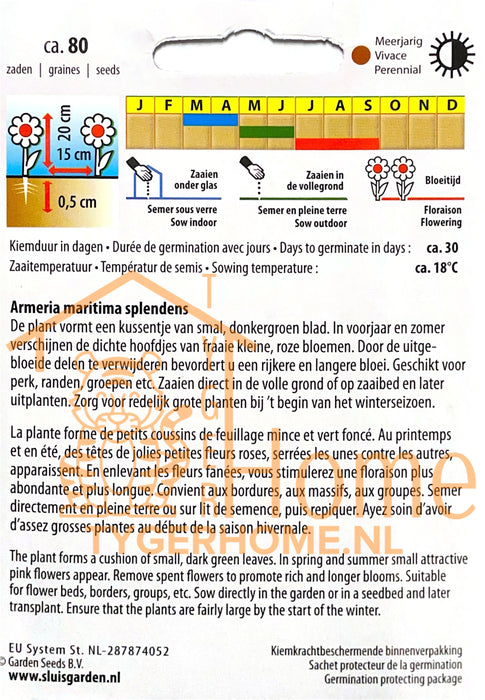 Overblijvende Aster Alpenaster Bloemen Zaden voor de Tuin: Kweek Prachtige, Veeljarige Alpenasters - Grow Beautiful, Perennial Alpine Aster Flowers - Cultivez de Magnifiques Asters Alpins Vivaces pour le Jardin
