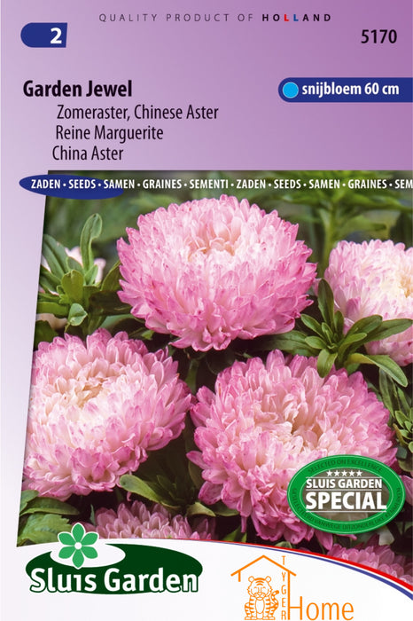 Garden Jewel Zomeraster Chinese Aster Bloemen Zaden voor de Tuin: Kweek Prachtige, Kleurrijke Zomerasters