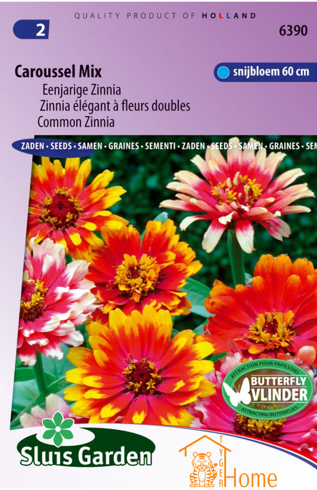 Caroussel Mix Eenjarige Zinnia Snijbloem 60 cm Butterfly Vlinder Aantrekking Zaden: Kweek Prachtige, Kleurrijke Snijbloemen