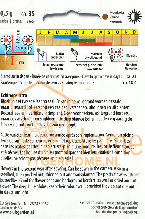 Kogeldistel Blauw Echinops Bloemen Zaden voor de Tuin: Kweek Prachtige, Blauwe Kogeldistels - Grow Beautiful, Blue Globe Thistle Flowers - Cultivez de Magnifiques Fleurs de Chardon Bleu pour le Jardin