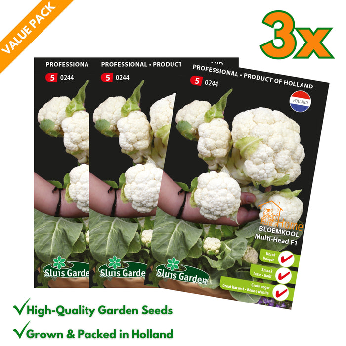 Bloemkool Multi-Head F1 | Uniek ras met meerdere kroppen | Zoet van smaak | Grote oogst van voorjaar tot zomer - 3x