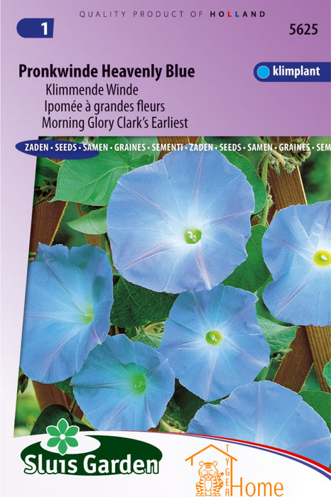 Pronkwinde Heavenly Blue Zaden, Klimmende Winde - Morning Glory Heavenly Blue Seeds, Climbing Vine - Graines d'Ipomée Heavenly Blue, Plante Grimpante