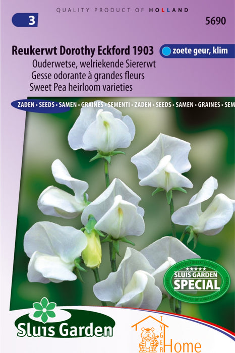 Sweet Pea Dorothy Eckford 1903 Seeds, Old Fashioned Sweet Pea - Sweet Pea Dorothy Eckford 1903 Seeds, Heirloom Varieties - Graines de Gesse Odorante Dorothy Eckford 1903, Variétés Anciennes 