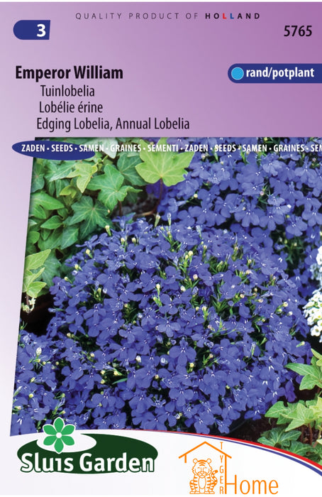 Emperor William Zaden, Tuinlobelia - Emperor William Seeds, Edging Lobelia - Graines de Lobélie érine, Emperor William