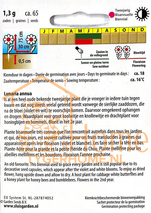 Judaspenning Mix Zaden, Kleurrijke Tuin-Judaspenning - Diverse Money Plant Mix Seeds, Honesty, Silver Dollar Plant