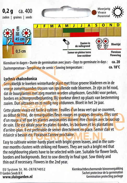 Brandende Liefde Zaden, Meerjarige Scharlakenrode Amour Ardent - Burning Love Seeds, Perennial Scarlet Jerusalem Cross