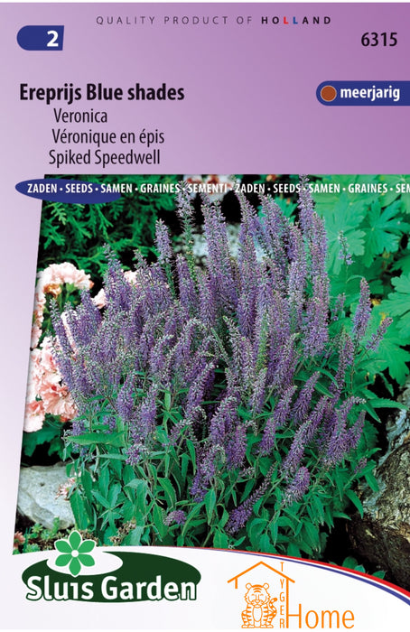 Ereprijs Blue Shades Zaden - Meerjarige Veronica met Blauwe Bloemtrossen voor Borders, Bijen en Vlinders - Makkelijk te Kweken