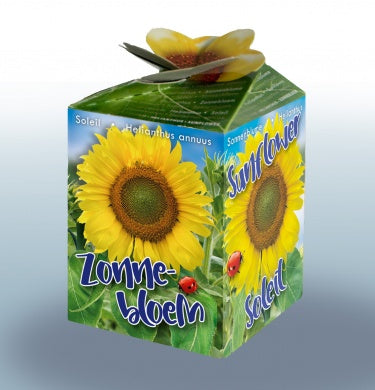 100 Sonnenblumenkerne – Helianthus Annuus | 99 € inklusive Versandkosten