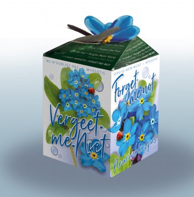 100 graines de myosotis (Forget-me-Me-Myosotis) | 99 € frais de port inclus
