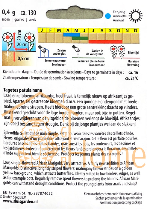Mr Majestic Afrikaantjes Lage Enkele Perk/Potplant Bloem Zaden: Kweek Prachtige, Enkele Goudsbloemen - Grow Beautiful, Low Single Marigold Flowers - Cultivez de Magnifiques Fleurs de Souci Basses et Simples pour le Jardin
