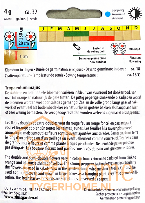 Orange Flame Afrikaantjes Lage Dubbele Perk / Potplant Bloem Zaden: Kweek Prachtige, Dubbele Goudsbloemen