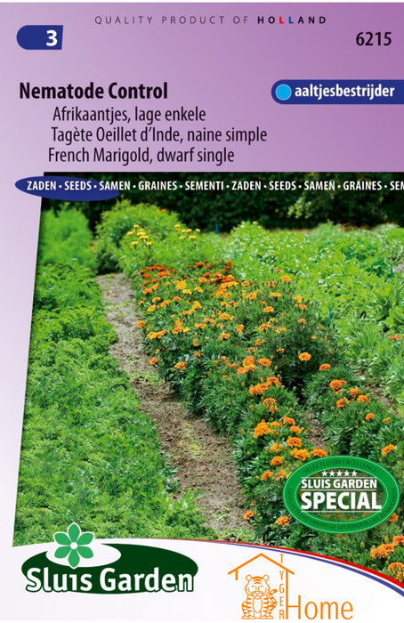 Afrikaantjes Zaden Nematode Control - Lage Enkele Franse Marigold tegen Aaltjes - Natuurlijke Bodemverbeteraar en Sierlijke Borderplant