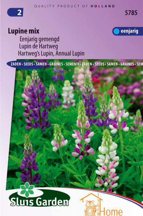 Vibrant Lupine Mix Zaden, Kleurrijke Eenjarig Gemengd - Hartweg’s Colorful Annual Lupin Mix Seeds, Multicolor Display - Graines de Lupin de Hartweg, Mélange Annuel Coloré