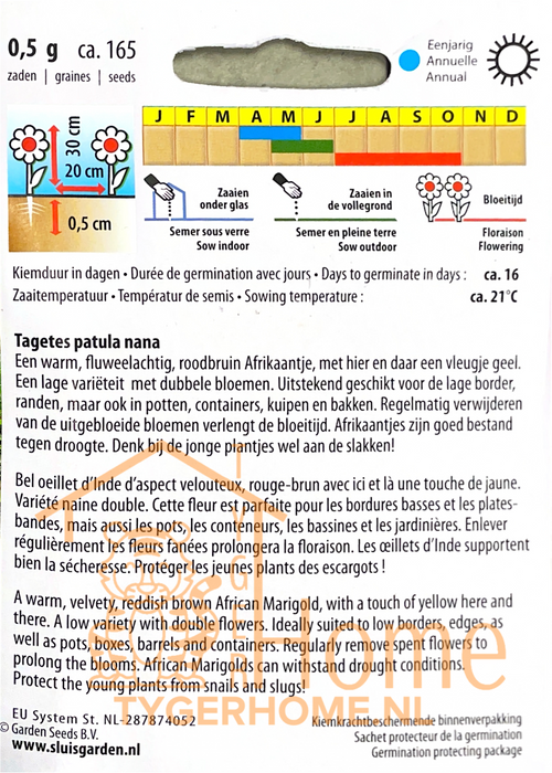 O.I. Kers King Theodore Oost-Indische Kers Lage Enkele Bodemdekker Zaden: Kweek Prachtige, Roodgekleurde Bloemen