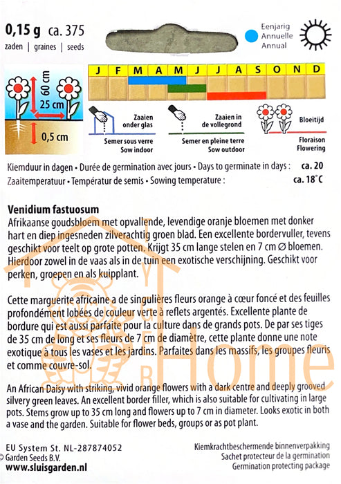 Veniduim Prince Of Orange Afrikaanse Goudsbloem Monarch van de Vlakte Zaden: Kweek Prachtige, Oranje Bloemen