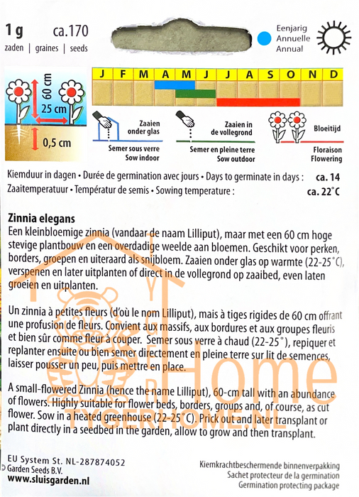 Viool Zwitserse Reuzen Mix Zaden - Grootbloemige Tweejarige Viooltjes in Rijke Kleuren voor Tuin, Borders en Potten - Winterhard en Makkelijk te Kweken