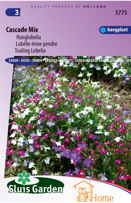 Hanglobelia Zaden Cascade Mix - Kleurrijke Bloemen voor Tuin en Balkon - Perfecte Hangplant voor Decoratie