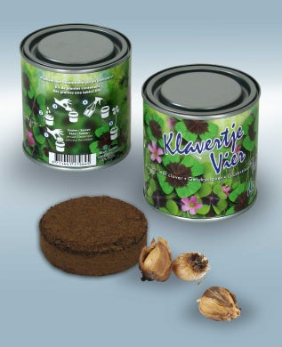 50x Klavertje Vier Kweekset in Blik – 250ML | Geluksplantje | Biologische Zaden | Cadeauset