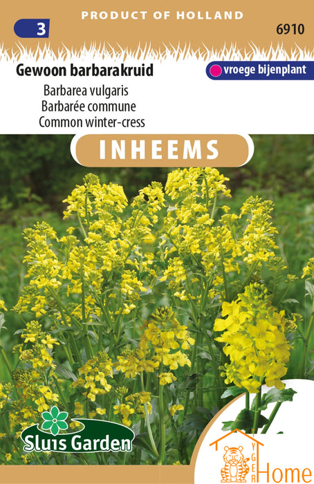 Gewoon Barbarakruid | Inheemse vroege bijenplant | Gele bloei in het voorjaar | Winter-cress bloemzaden