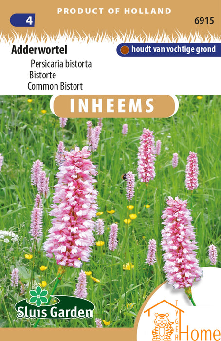 Adderwortel | Inheemse vaste plant | Roze aren, houdt van vochtige grond | Bistort bloemzaden