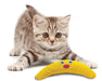 Petstages Green Magic Boomerang Buddy