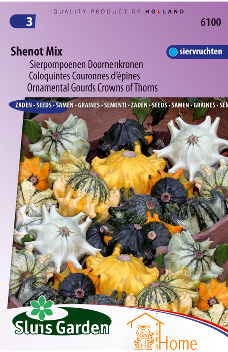 Cucurbita Shenot Doornenkronen Zaden, Decoratieve Kalebas - Shenot Crown of Thorns Gourd Seeds, Ornamental Gourd