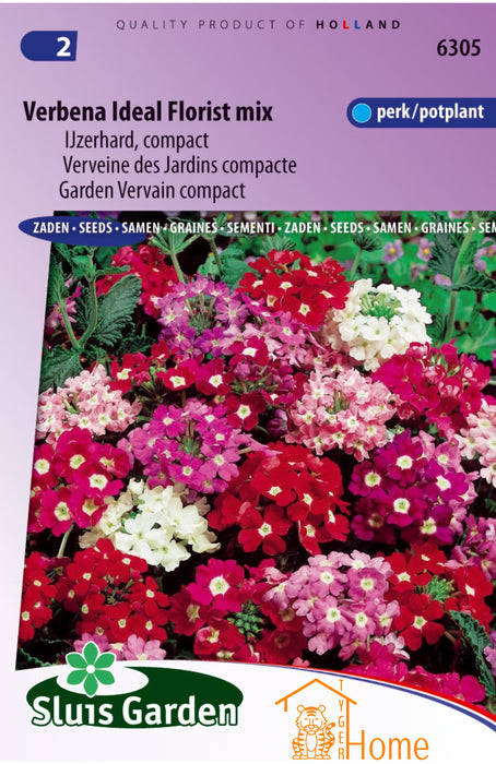 Verbena Ideal Florist Mix Zaden - Compacte IJzerhard voor Perk en Pot - Rijke Bloei in Kleurrijke Tinten, Ideaal voor Balkon en Tuin