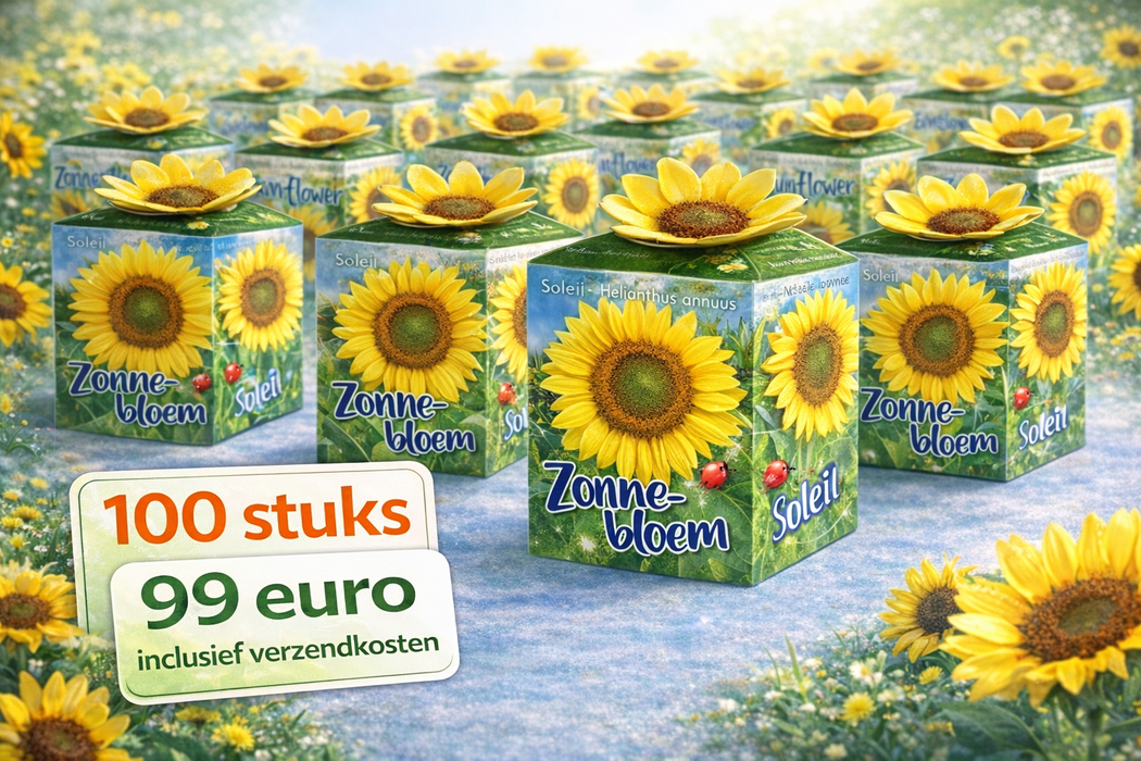 100 Sonnenblumenkerne – Helianthus Annuus | 99 € inklusive Versandkosten