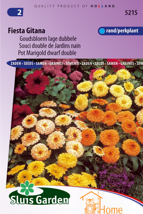 Fiesta Gitana Goudsbloem Lage Dubbele Bloemen Zaden voor de Tuin: Kweek Prachtige, Goudgele Dubbele Goudsbloemen