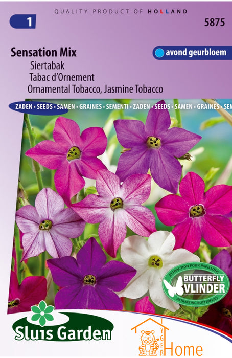 Sensation Mix Zaden, Avond Geurende Siertabak - Sensation Mix Seeds, Evening Scented Ornamental Tobacco - Graines de Tabac d'Ornement Sensation Mix, Parfumé le Soir