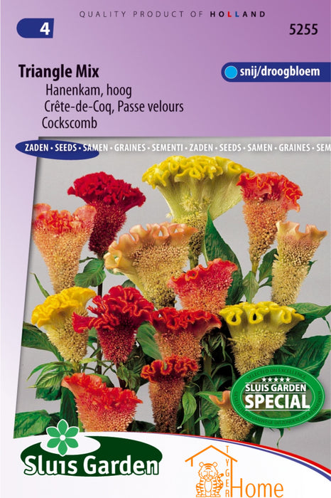 Hanenkam Triangle Mix | Fluweelachtige snijbloem | Kleurrijke droogbloemen voor boeketten | Cockscomb bloemzaden