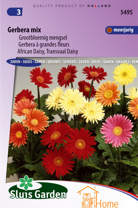 Gerbera Mix Zaden - Grootbloemig Mengsel - Kleurrijke Meerjarige Sierplant voor Tuin en Potten