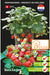 Aardbei Tresca Strawberry Seeds: Kweek zoete, heerlijke en sappige aardbeien in je eigen tuin. Perfect voor verse snacks, desserts en gezonde gerechten