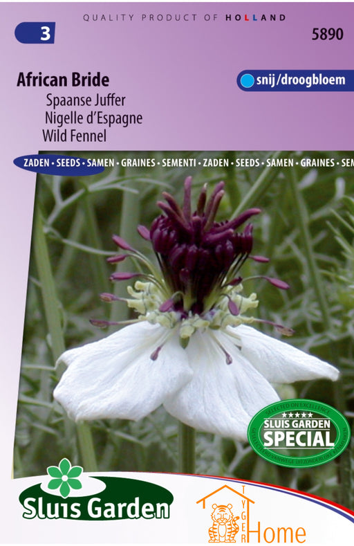 African Bride Zaden, Elegante Spaanse Juffer: Kweek prachtige, elegante bloemen in je tuin. African Bride Seeds, striking wild fennel for a unique garden display. Graines de Nigelle d'Espagne, fleur exquise pour un jardin raffiné.