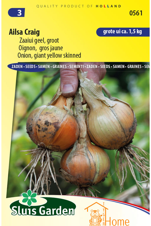 Ailsa Craig Zaaiui Geel Groot Zaden: Kweek heerlijke, grote gele uien in je eigen tuin. Grow delicious, large yellow onions for flavorful dishes. Cultivez de grosses oignons jaunes savoureux pour des repas riches en saveur