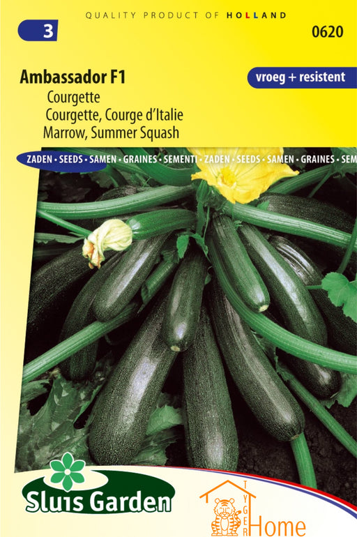 Ambassador F1 Courgette Zaden: Kweek heerlijke, productieve courgettes in je eigen tuin. Grow delicious, high-yielding zucchini for abundant harvests. Cultivez des courgettes savoureuses et productives pour des récoltes abondantes