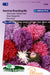 American Branching Mix Zomeraster Chinese Aster Bloemen Zaden voor de Tuin: Kweek prachtige, vertakte zomerasters in je tuin. Grow beautiful, branching summer aster flowers for a colorful garden display. Cultivez de magnifiques asters chinois ramifiés pour un jardin éclatant