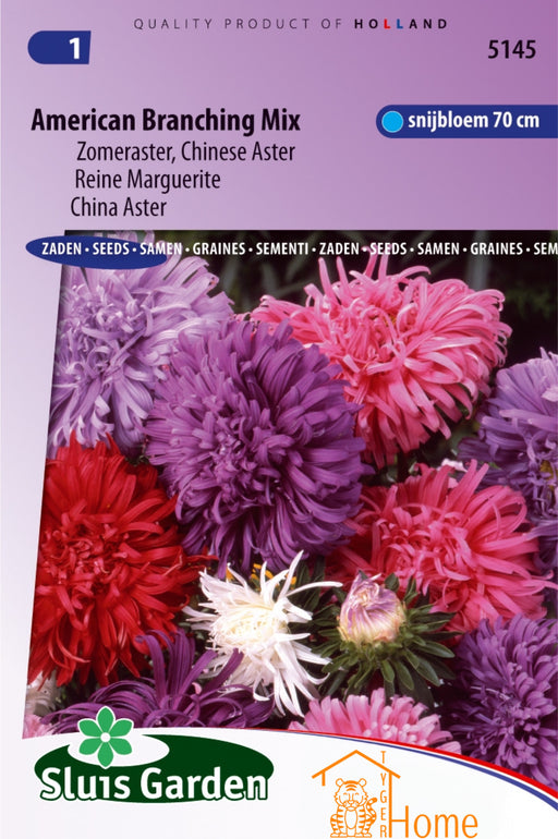 American Branching Mix Zomeraster Chinese Aster Bloemen Zaden voor de Tuin: Kweek prachtige, vertakte zomerasters in je tuin. Grow beautiful, branching summer aster flowers for a colorful garden display. Cultivez de magnifiques asters chinois ramifiés pour un jardin éclatant